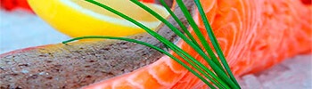 View all Food compliant plastics in the store now