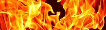 View all Flame retardant plastics in the store now