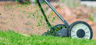 Clean lawn edge thanks to polyethylene root barrier
