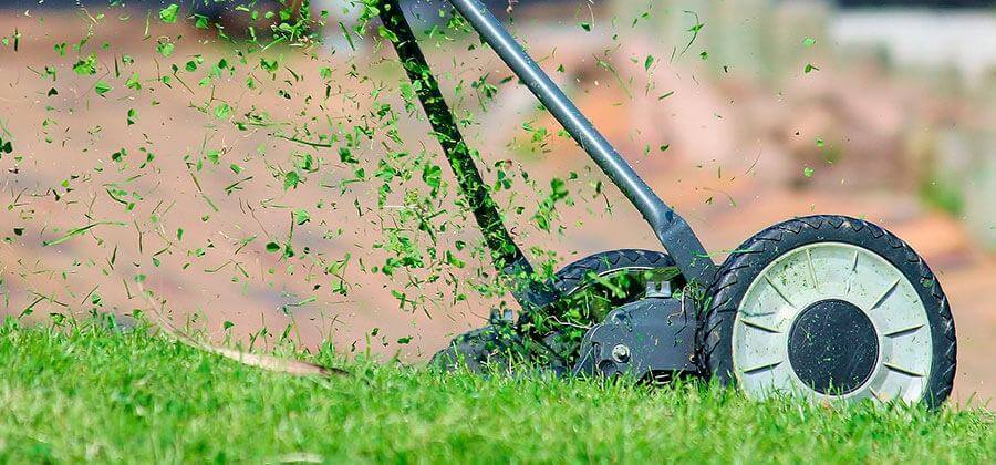 Clean lawn edge thanks to polyethylene root barrier