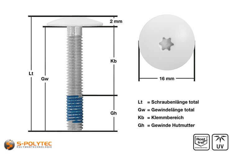 View of measurements of our balcony screw with pure white screw head