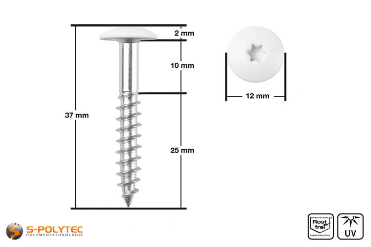 HPL facade screw 5,5 x 35mm in pure white