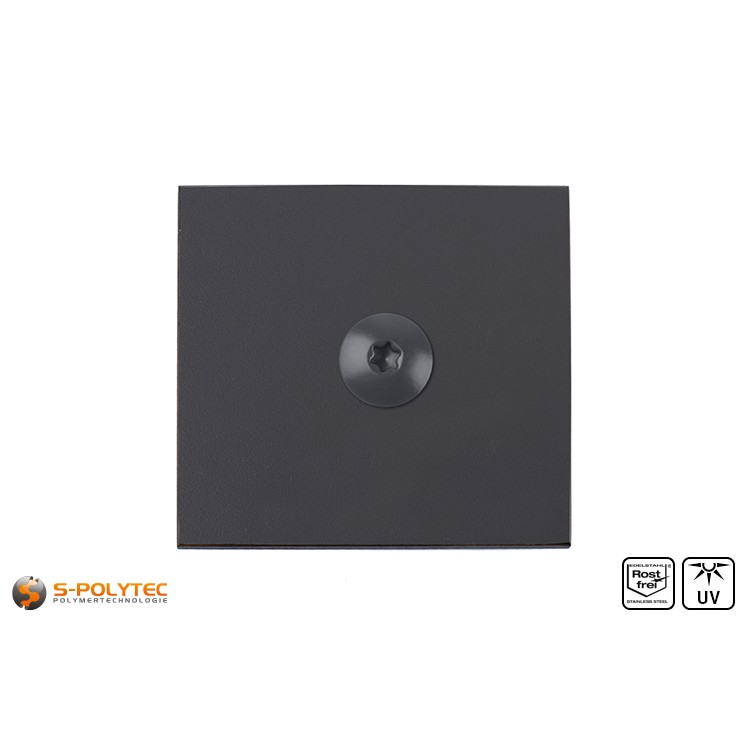 HPL panel with HPL screw anthracite
