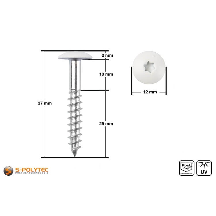 HPL facade screw 5,5 x 35mm in cream white