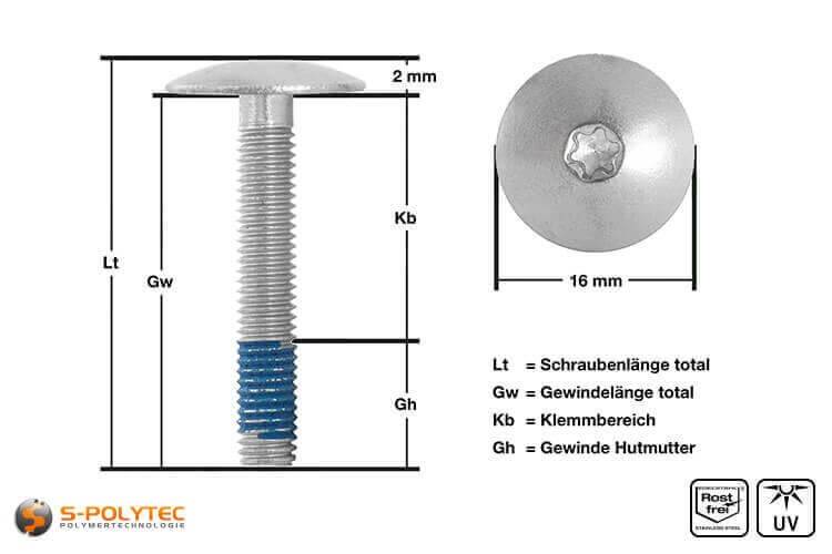 View of  measurements of our balcony screw with unpainted screw head
