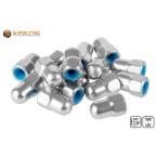 Buy matching Cap nut for balcony bolts (stainless steel) directly with it