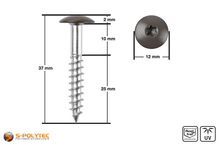 HPL facade screw 5,5 x 35mm in brown