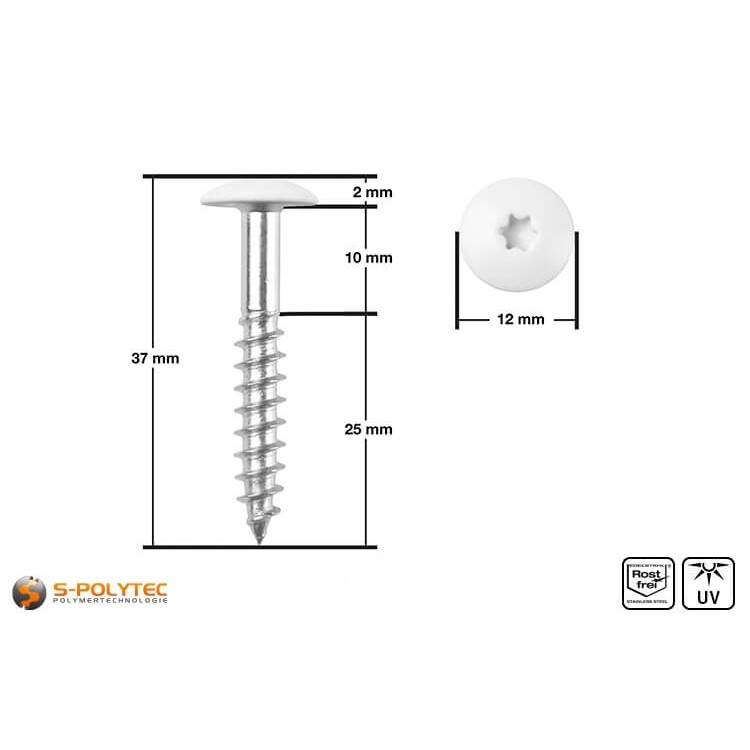 HPL facade screw 5,5 x 35mm in pure white