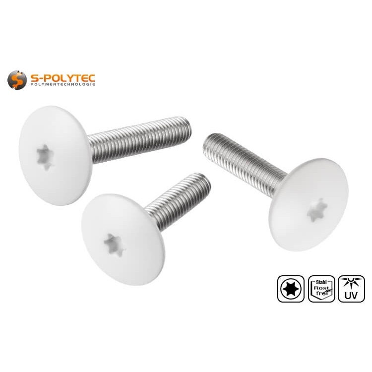 M5 stainless steel balcony screw for cap nuts or threaded sleeves with head painting in pure white (RAL9010)