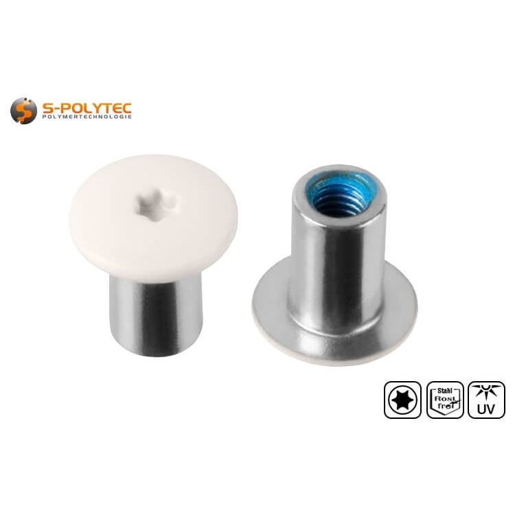 The cream white threaded sleeve with a head diameter of 14mm has a Torx drive in size T20 (ISR20)