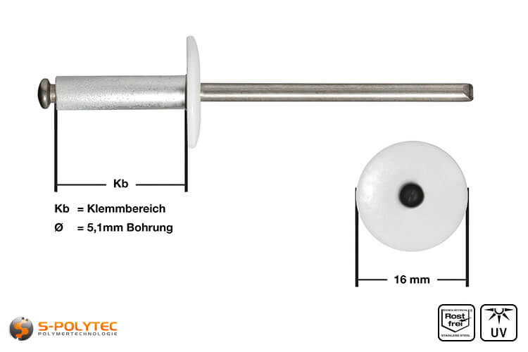 Facade rivets pure white (RAL 9010)