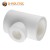 You looked at Aqua-Plus PP-R T-reducer in white in the store