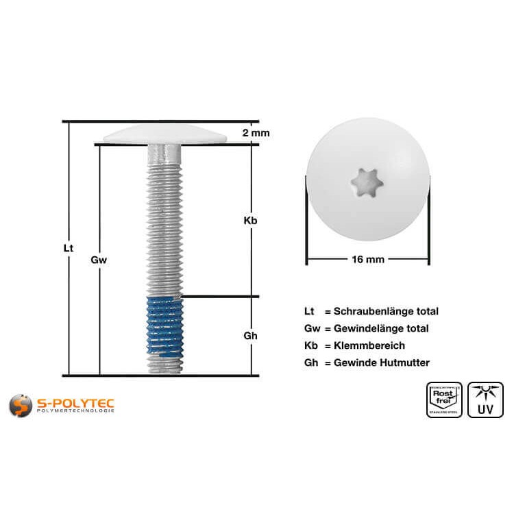 View of measurements of our balcony screw with pure white screw head