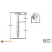 Vorschaubild HPL facade screw 5,5 x 35mm unpainted