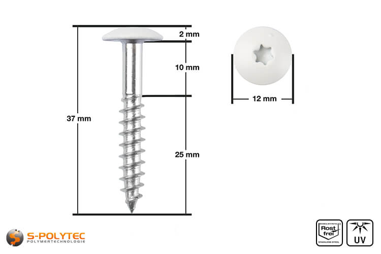 HPL facade screw 5,5 x 35mm in cream white