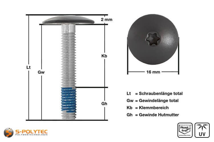 View of  measurements of our balcony screw with anthracite screw head
