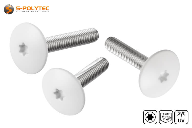 M5 stainless steel balcony screw for cap nuts or threaded sleeves with head painting in pure white (RAL9010)