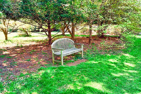 Unmaintained lawn edge due to lack of root barrier of lawn with polyethylene plastic panels